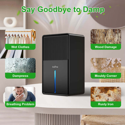 Loefme B631 Dehumidifier 850 ML/Day 7 Colors Light Drying Mode Defrost Function Sleep Mode Quiet Home Bedroom 3L Air Dehumidifier