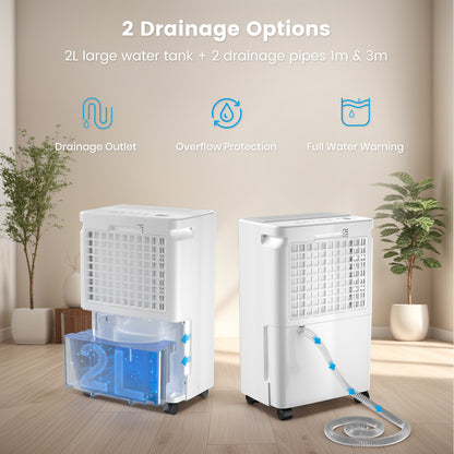LOEFME 12L/Day Dehumidifier with 2L Water Tank, 220W Dehumidifiers for Home, Prevents Damp and Condensation, Quiet Dehumidifier Lower than 40dB, Suitable for Bedroom, Living Room, RV, Cloakroom