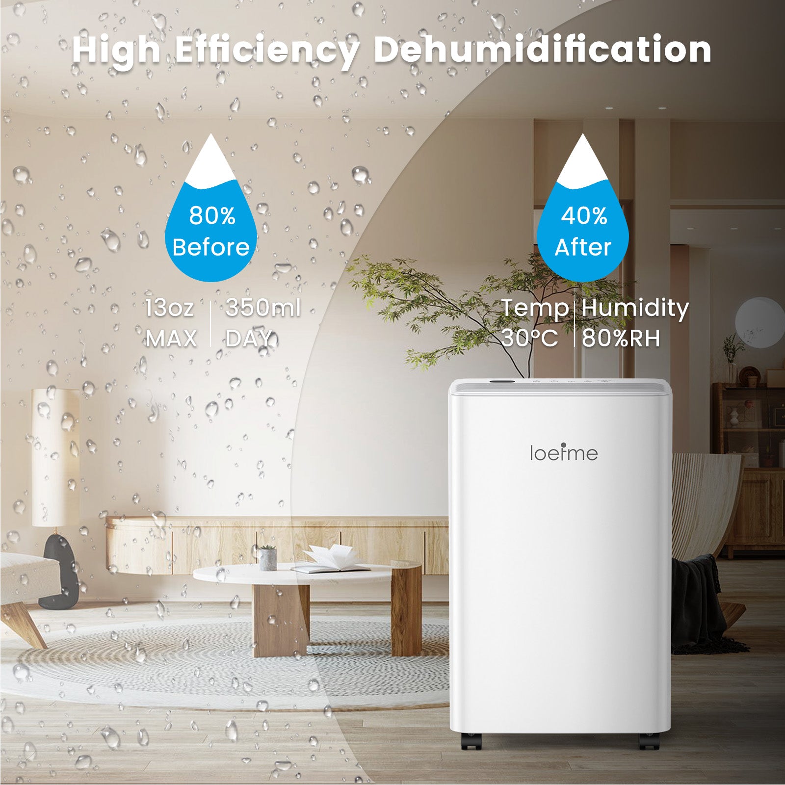 LOEFME 12L/Day Dehumidifier with 2L Water Tank, 220W Dehumidifiers for Home, Prevents Damp and Condensation, Quiet Dehumidifier Lower than 40dB, Suitable for Bedroom, Living Room, RV, Cloakroom