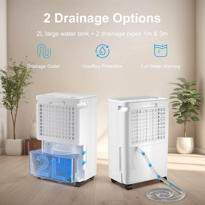 Loefme 12L/ Day Efficient Dehumidifier For Home, With 2L Tank & 2 Pipes, Portable Wheels, 3 Modes, Auto Defrost, Timer, Child Lock, Digital Display, Full Water Alert, LED Light For Bathroom/ Bedroom/ Kitchen/ Caravan/ Wardrobe