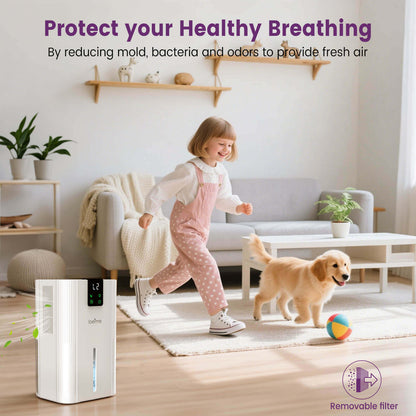 Loefme Silent Dehumidifier, Large 2.8L Air Dehumidifier, 750ML/Day With Touch Screen, LED Light For Home, Bedroom, Office, Basement